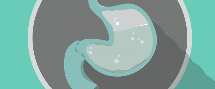 Le reflux gastro-oesophagien – conseils alimentaires Le reflux gastro-oesophagien – conseils alimentaires