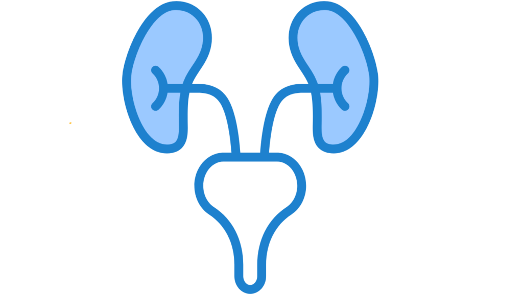 Urologie